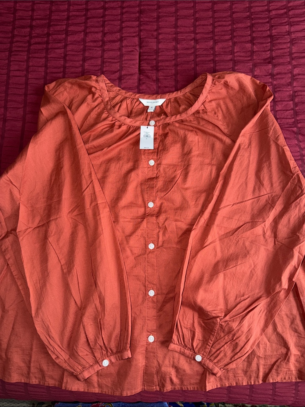 Banana Republic Button-Front Blouse in Burnt Orange